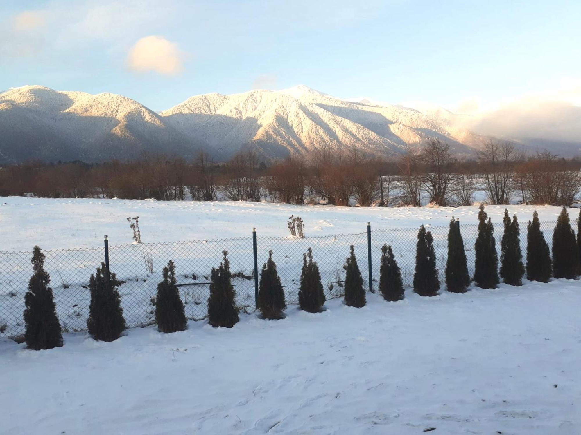 Letizia Near The Pirin Golf *